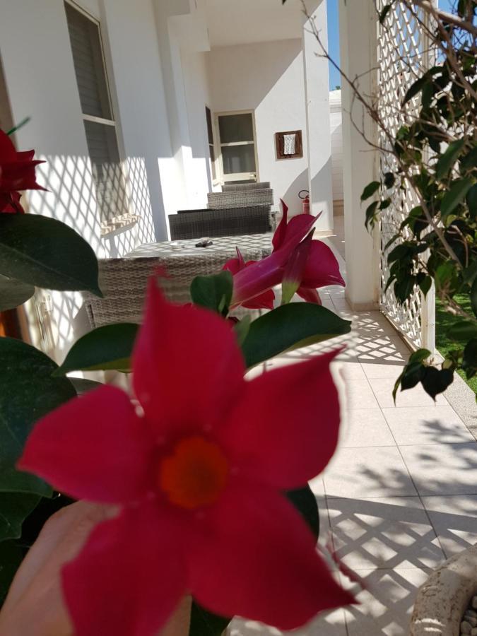 Zia Mia B&B Olbia Exterior foto